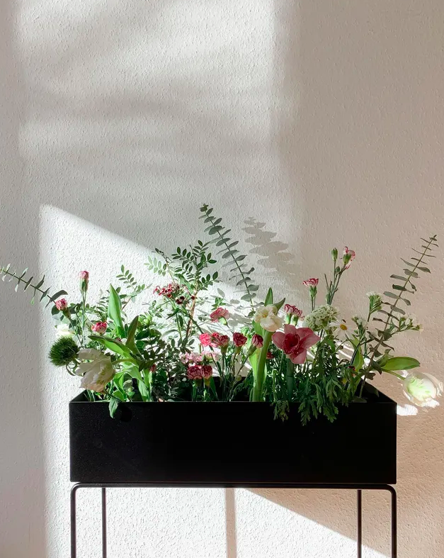 Ящик для рослин чорного кольору  від Ferm Living