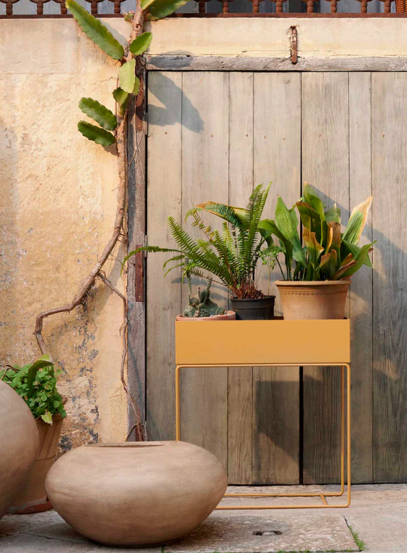 Ящик для рослин солом’яного кольору від Ferm Living